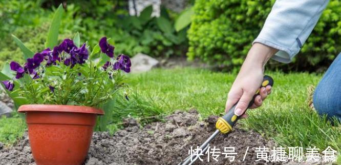 养花|养花最怕4种土，半年变空盆，要是用这些土种花，赶紧换