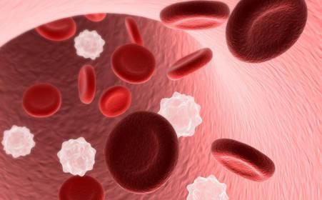 红细胞|孕妇的“完美血型”是什么这种血型的孕妈,生娃更具优势