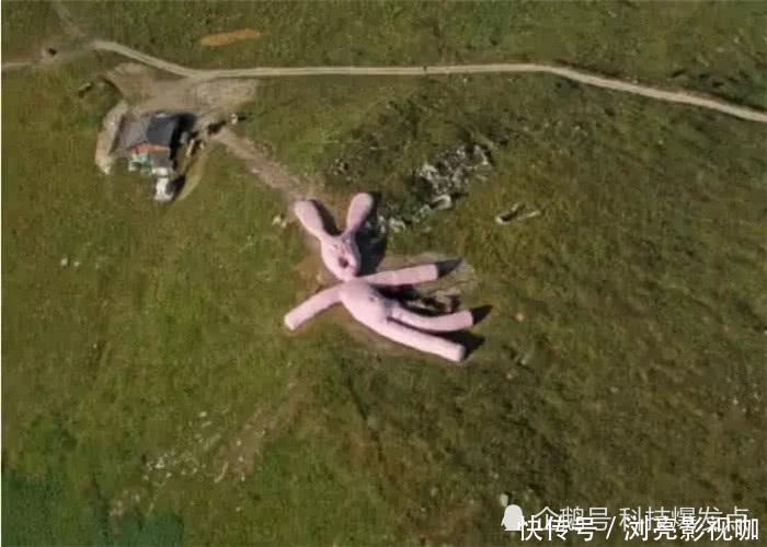 世界上最大的兔子，长达60米，卫星拍摄都清晰可见！