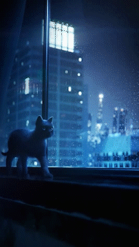 像素|夜拍能力创新高：OPPO发布「超感光猫眼镜头」,影像的绝佳防守？