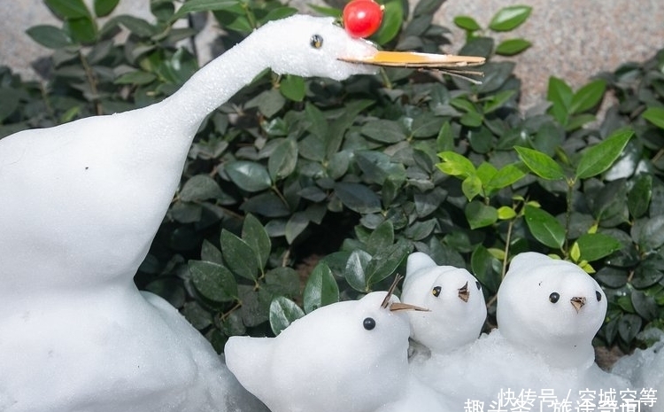  意外|高手在民间之银行保安，堆雪人意外走红，许多游客到银行门口打卡