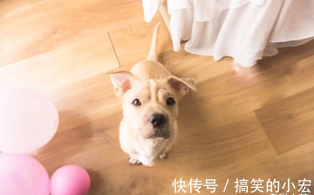 |11条知乎幽默神回复,机智爆笑,看完还想看