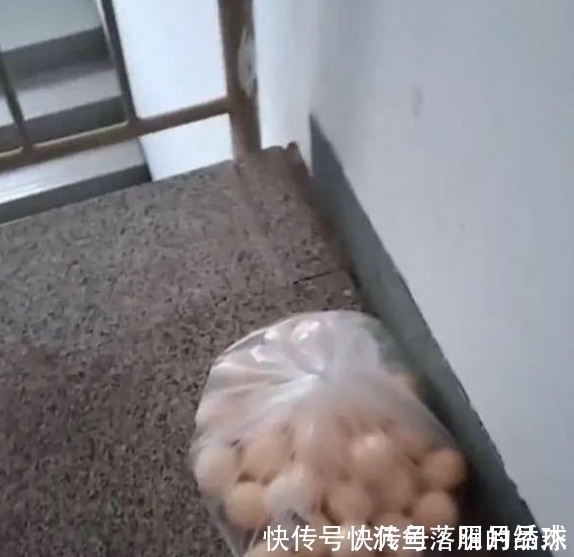 蹭网|房主为防蹭网换了密码,第二天发现门上贴了“纸条”,瞬间被感动