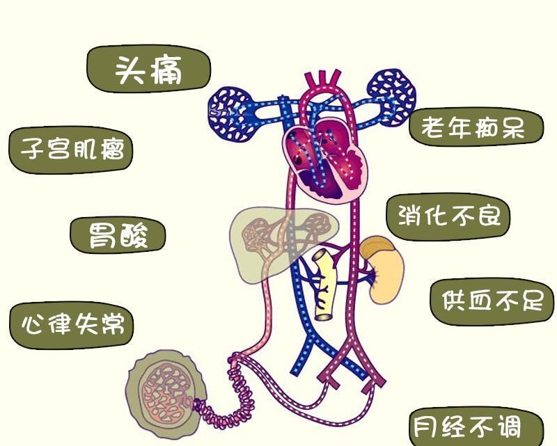  与组织|微循环障碍矿疗帮您打通微循环，提高健康