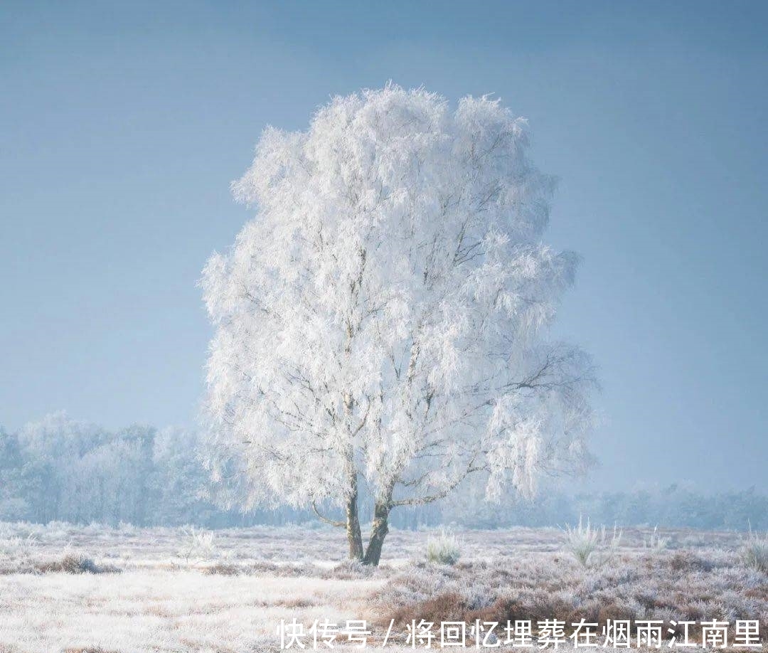有一种智慧,叫学会转弯