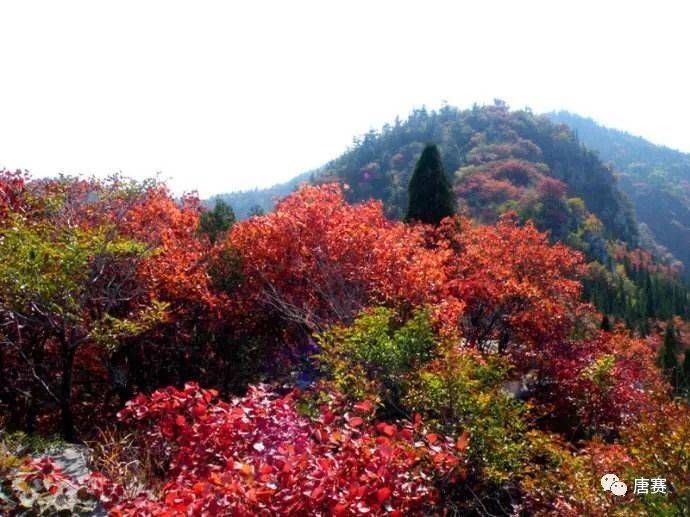 晏几道&青未了/仰天山红叶行