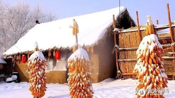 健身|吸烟对健身到底有什么影响？“增肌+减脂”两个角度分析！