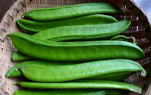 冬天，女人常吃3种食物，滋养皮肤，调理身体，好处多多！