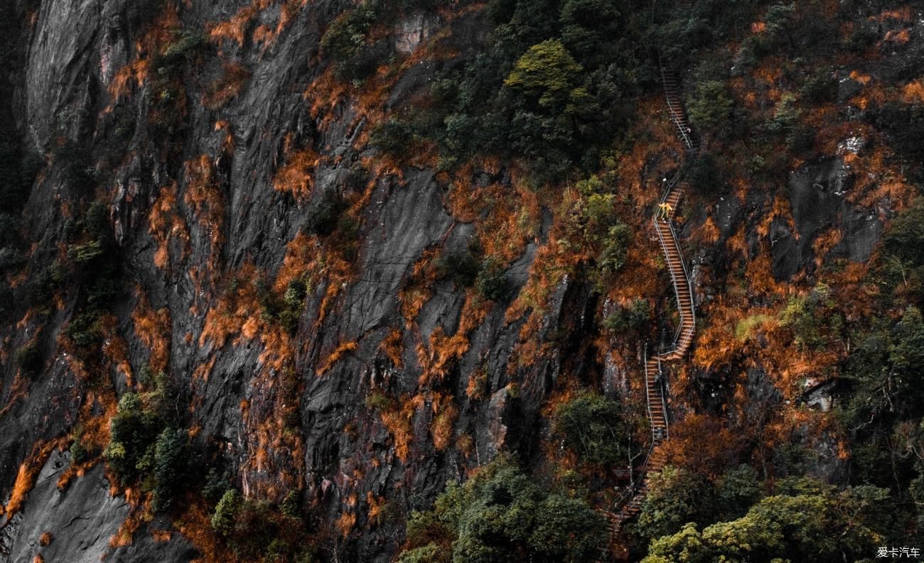 天梯|岭南第一险峰，梦幻金子山！