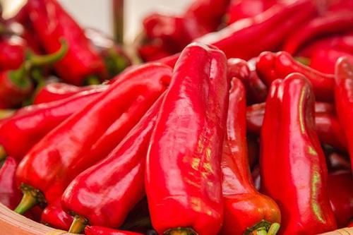 养胃|胃不好的人，平时可常吃哪些食物？天然的