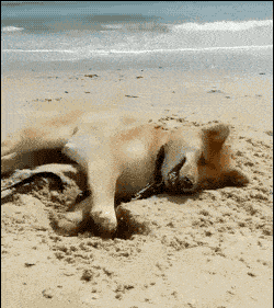 |搞笑GIF:在作死的路上一发不可收拾,这酸爽