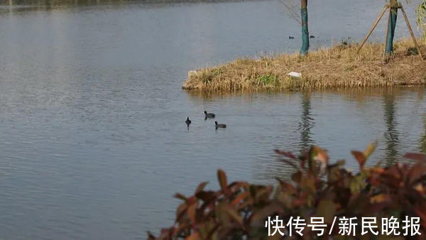 观日塔|登上“观日塔”，体验绚烂而有诗意的美景