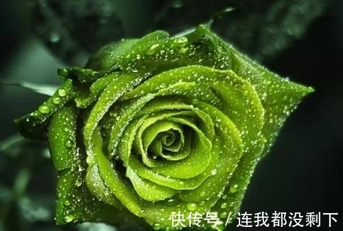 姻缘|未来一周真爱降临的生肖