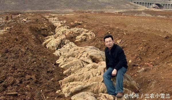 乾隆|中国第一奇石, 乾隆想挖却挖不动, 巨富耗资1亿多, 挖了3年才挖到