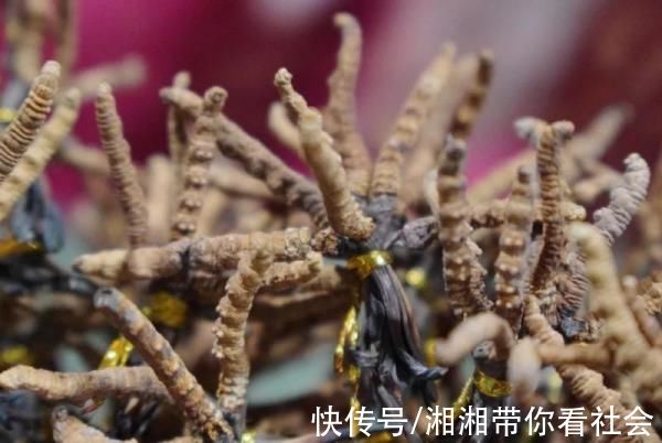 文旅资源$乡村振兴携手同行|每日推荐:西藏特色文旅资源--丁青