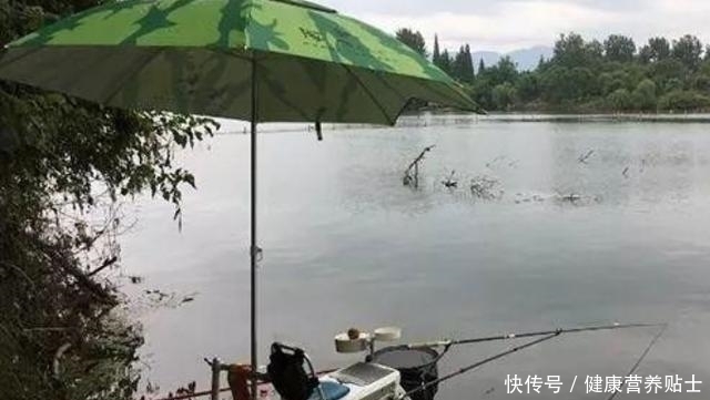 又一鲫鱼钓法强势来袭自从有了它,鲤鱼再大都没兴趣,不得不服