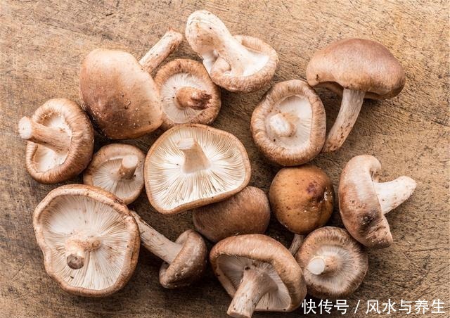 买香菇,挑大的还是小的牢记“3买3不买”,谁也不敢忽悠你!