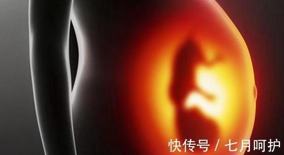 遗传学家|孩子的脾性到底随了谁?遗传学家给出答案:从娘胎里就能判断一二