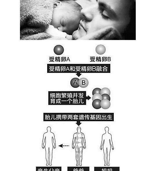 叔叔|女子生下双胞胎, 亲子鉴定是叔叔的DNA, 但孩子爸确是独生子