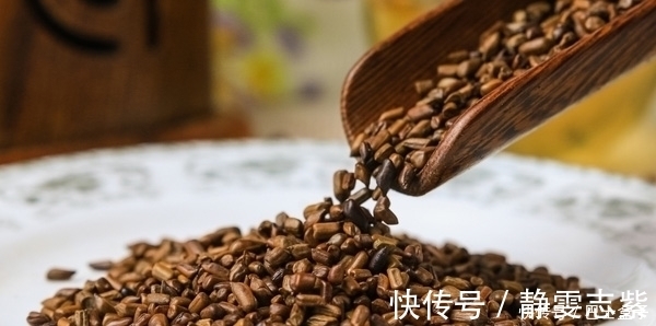 沙漠人参|枸杞和它是“伴侣”,坚持每天喝点,养肾、护肝精神棒!