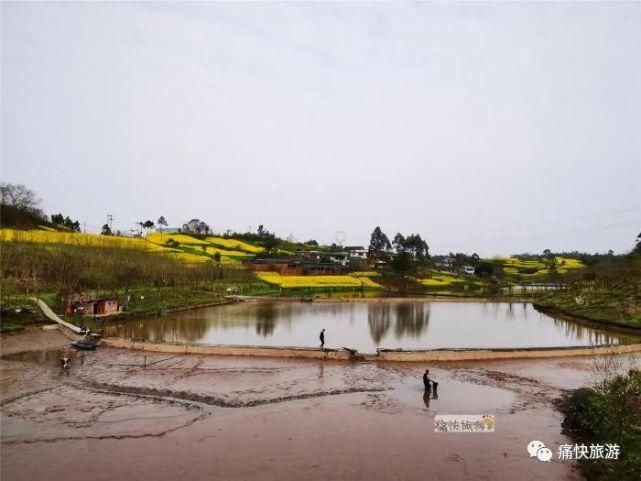 漫步在自贡金银湖畔的春天里