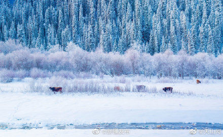 2021年春节假期新疆接待游客340.94万人次