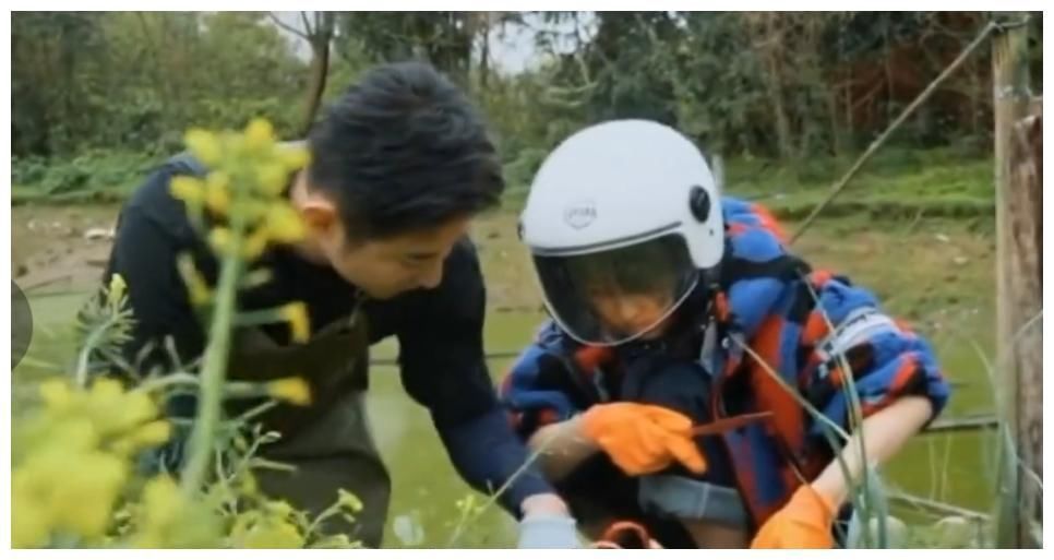 张艺兴|黄磊吓唬杨紫辟谷,杨紫卖惨哭唧唧,张艺兴大秀厨艺讨好她