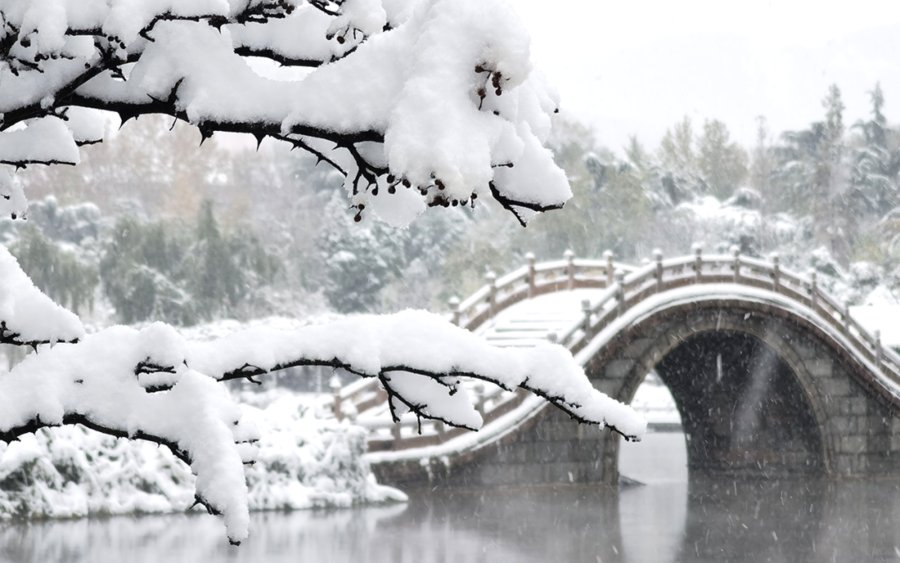 初雪中的济南南郊宾馆|镜头下 | 初雪