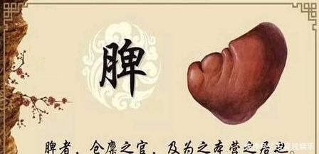 现象|脾生病,人就废一半!脾胃虚不虚看嘴就知道,7种现象,要补脾了