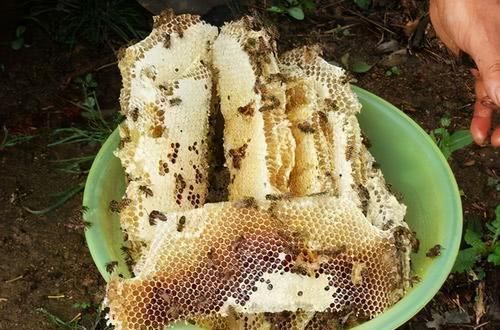 中年|女性到了中年,常吃3种食物,刮油消脂,排毒减肥,营养又瘦身!