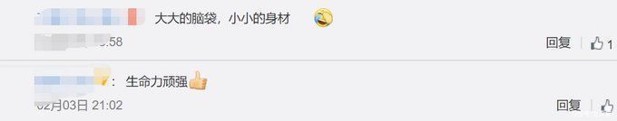 鲶鱼|男子把鲶鱼忘水缸1年没喂食,想起来一看难以置信:惊变“蝌蚪”