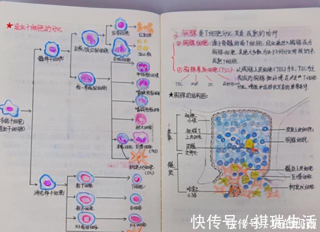 专注力|学霸和学渣有什么差别?看完课堂笔记对比图,差距一目了然