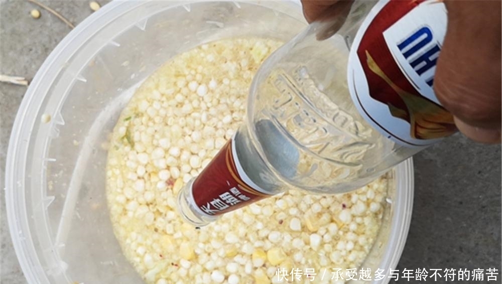 晚春手竿钓草鱼，用这些味道“清爽”的饵料，气温越高效果越好