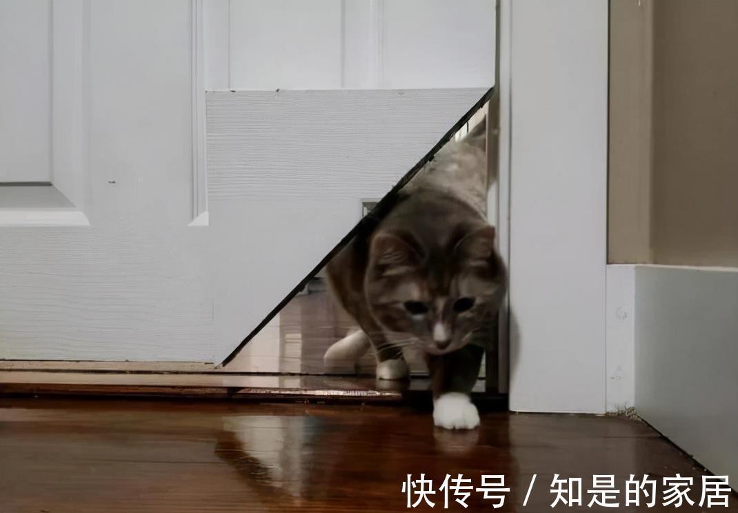 表姐|去表姐家参观,看到这8个“神设计”,我都后悔家里装修早了