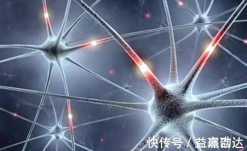 包子|医生都怕的“早餐”,很多家长给孩子吃得津津有味,能不生病吗