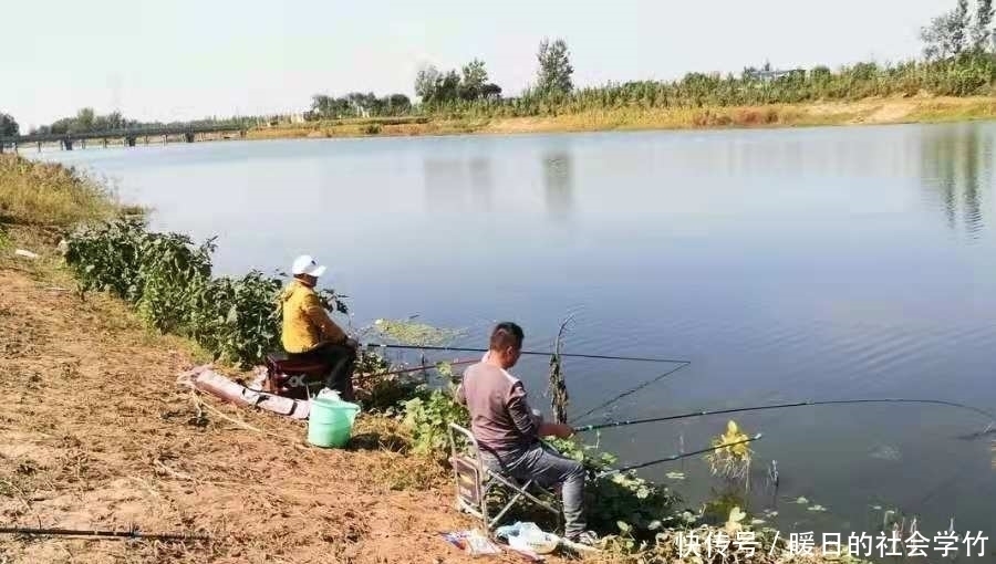 钓位|鲤鱼越大越难钓,没料想我用这三招,上鱼率不是一般的高!莫忽视