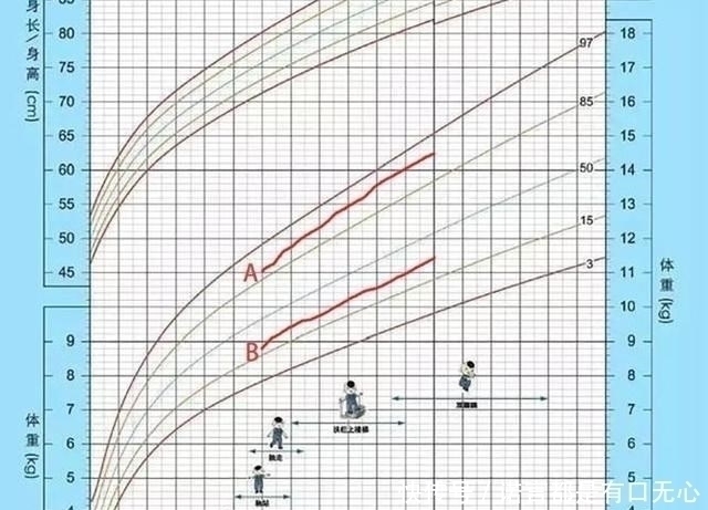 百分位线|你家孩子身高、体重正常吗?对照新版儿童生长曲线图,爸妈别大意