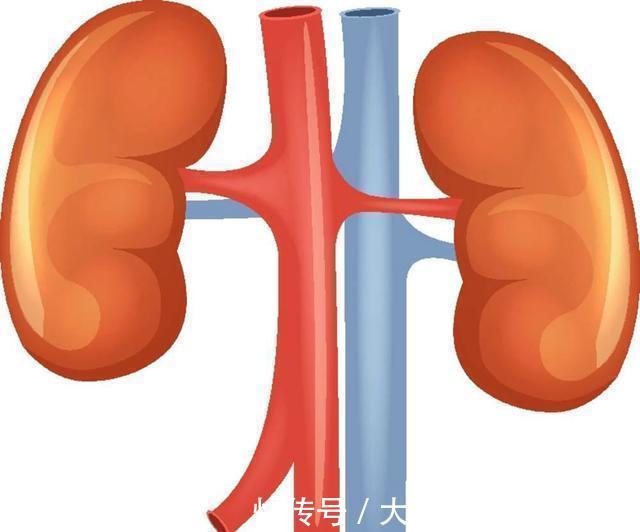 嘌呤|他喝酒50年，自称不怕痛风，秘诀只有1个，尿酸保持得好