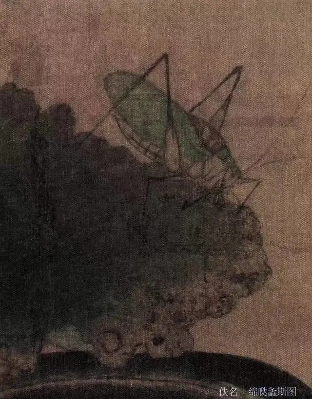 蝈蝈$国画技法图典——草虫篇:蝗虫 蚂蚱 蝈蝈 螽斯 螳螂 蟋蟀