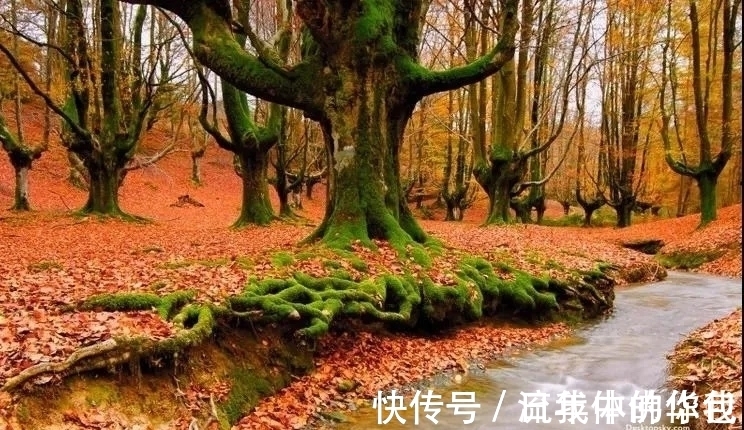 刘丽娟$七律,醉秋五首丨盈盈秋水念秋名,不负秋生这段情