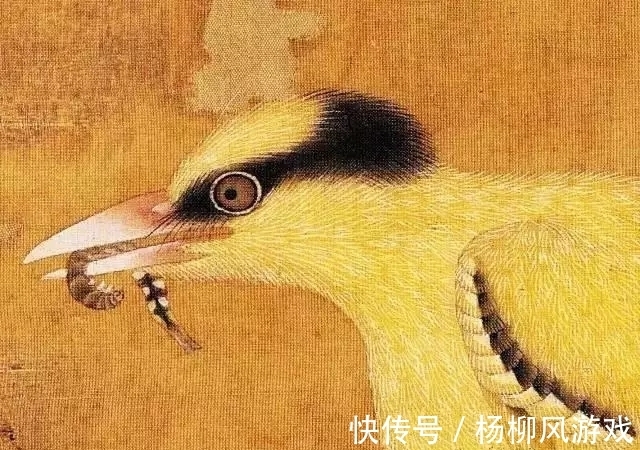 花鸟画@精细入微，看清一根根羽毛！赵佶花鸟画