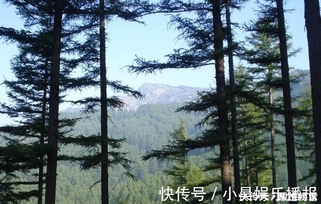 山峰|我国最不该被“忽视”的山，最高峰2831米，是华北第二高峰