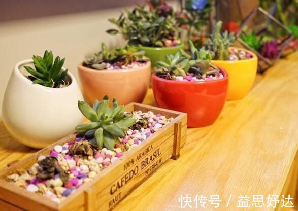 邻居|婆婆三个月装修的房子，还在通风中，邻居天天上门参观