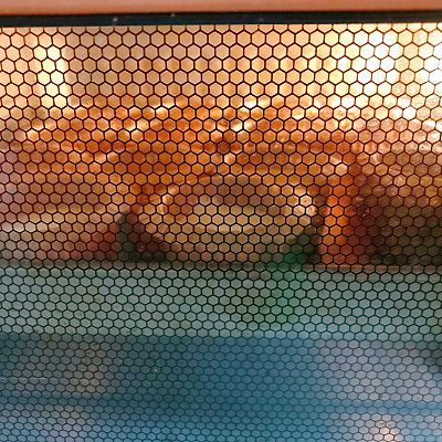 南瓜奶油奶酪蛋糕