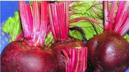 生长发育|女性秋天养生，常吃3种食物，补水润肤，延缓衰老，营养又瘦身