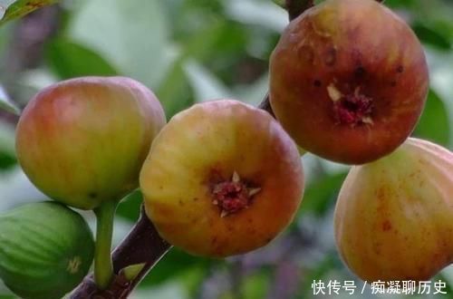 胡萝卜|肝不好的人，每天坚持吃4种食物，养肝排毒，肝脏或越来越健康