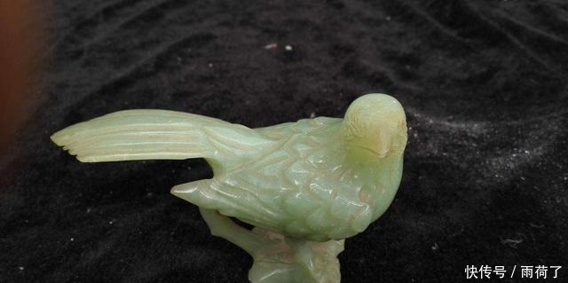 魂兽|斗罗大陆4种特殊的鸟类魂兽，一种不能突破十万年，一种为神兽