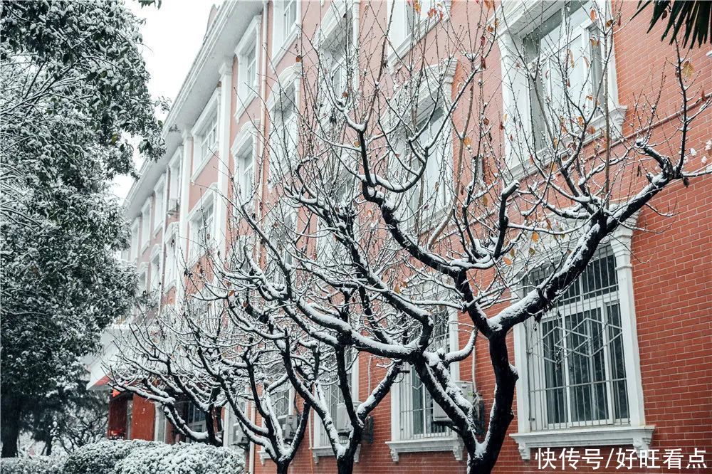 西安翻译学院：银装素裹雪景美如画