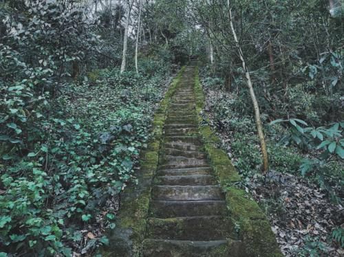 在四川与峨眉青城齐名，是茶文化的圣山，距离成都140公里