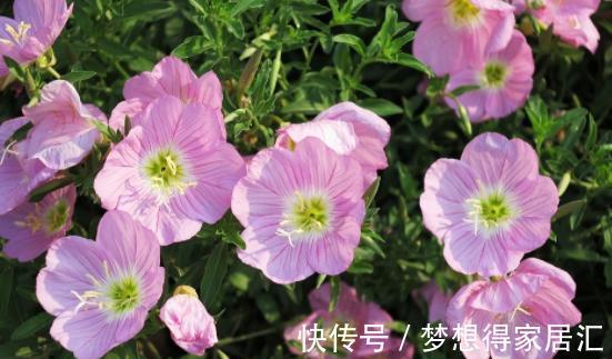 心血管疾病|10个人里有4个高血脂,医生直言:若想降血脂,需要坚持2件事